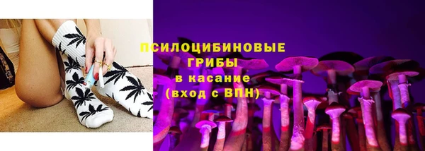дурь Вяземский