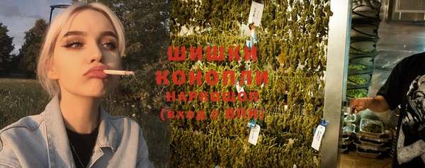 дурь Вяземский
