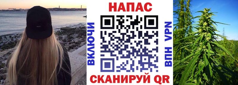 Бошки марихуана Bruce Banner Александров
